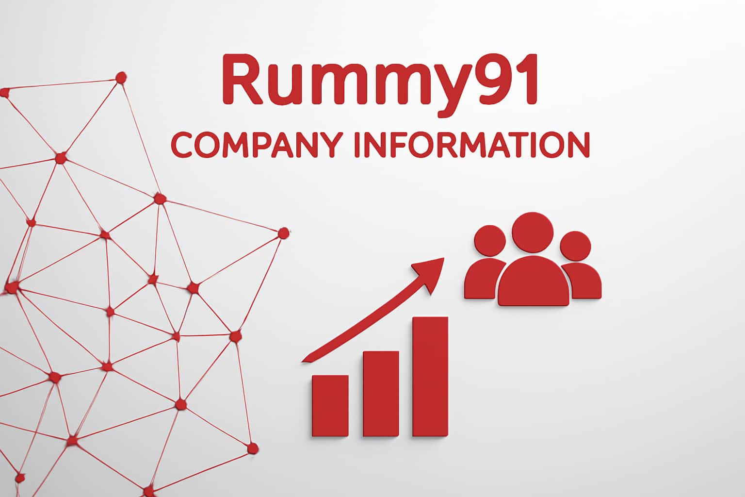 Rummy91 Company Information Interface